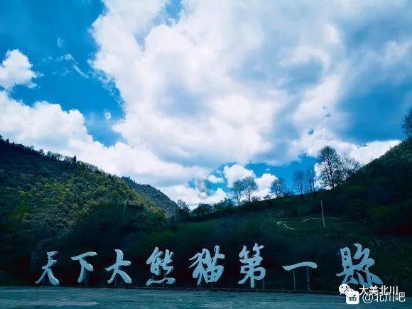 幻想森林逃生
