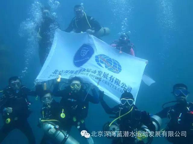 饿狮救援
