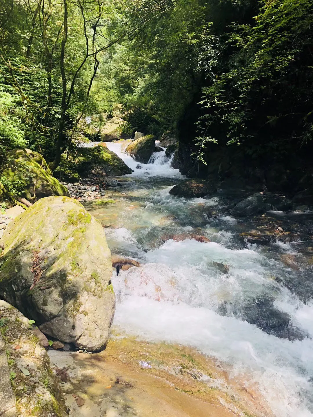 溶解氧监测方案
