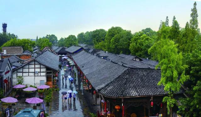 政宗君的复仇大学篇10话 剧情迎来反转 烂作要完结了